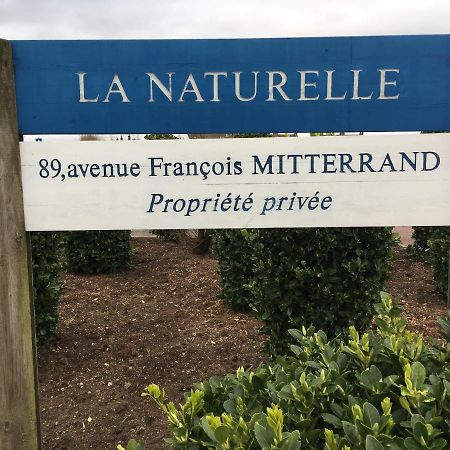 Vue Mer Sur La Cote D'Opale, Studio La Naturelle Pour 4 Personnes , Wimereux Ngoại thất bức ảnh
